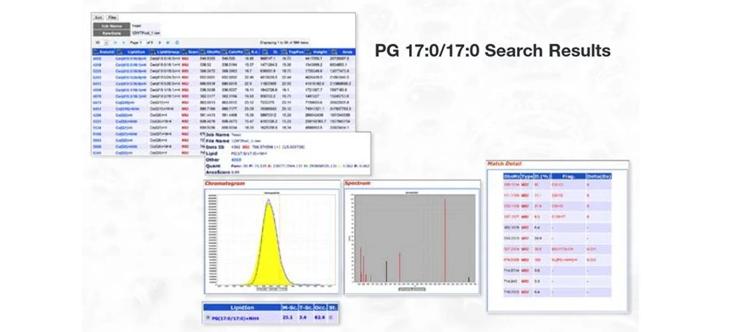 Thermo Scientific™ LipidSearch™ Software: PG 17:0/17:0 Search Results.