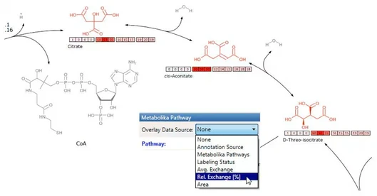 Thermo Scientific Metabolika module for easy pathway analysis