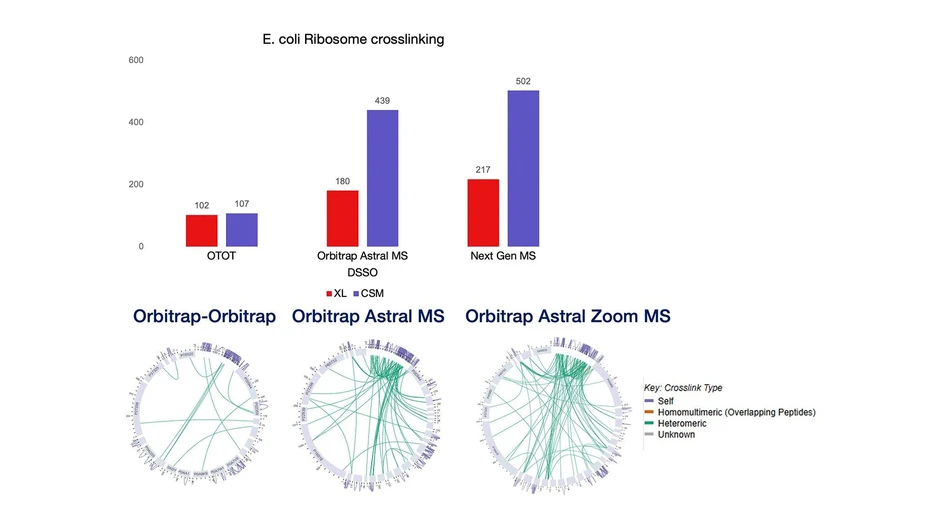 Thermo Scientific Orbitrap Astral Zoom Mass Spectrometer.