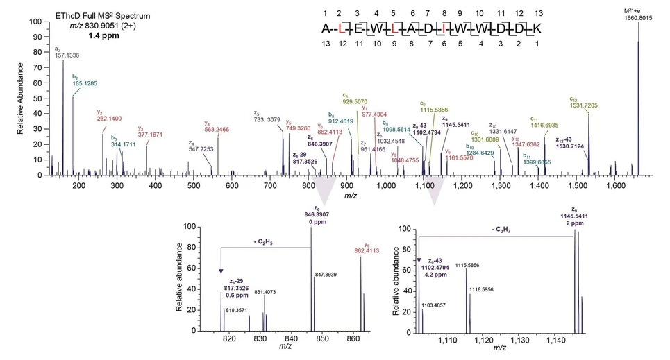 Thermo Scientific Orbitrap Excedion Pro Mass Spectrometers: UHPLC-HRAM-MS-ddMS2 analysis of NISTmAb tryptic digest peptide mapping experiment, EThcD unambiguously identified the two leucine residues (loss of 43Da from z9 and z12 fragments) and one isoleucine residue (loss of 29Da from z6 fragments) in this 13-amino acids doubly charged peptide with complete sequence coverage. Zoom-in insets show high mass accuracy (<5ppm) achieved for the signature fragments.