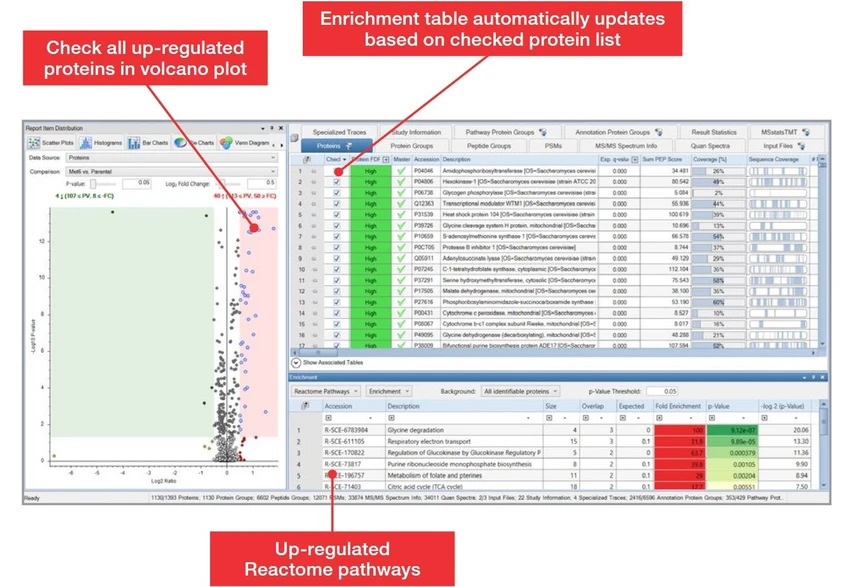 Thermo Scientific Proteome Discoverer Software: Interactive enrichment tables allow for the selection of up- or down-regulated proteins or peptides in any view, including volcano plots, PCA plots, and heat maps, and the visualization of corresponding Reactome pathways from the checked proteins to help derive biological interpretation of results. In addition to Reactome pathways, KEGG and Wikipathways as well as gene ontology terms and protein families can be visualized in the enrichment table.