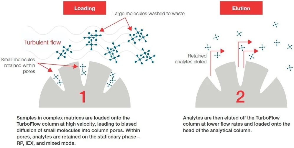 Thermo Scientific™ Transcend™ Multichannel UHPLC Systems: On-line sample cleanup with TurboFlow™ technology (TLX).