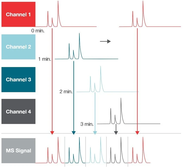 Thermo Scientific™ Transcend™ Multichannel UHPLC Systems: Injections are interleaved to maximize throughput and mass spectrometer use.