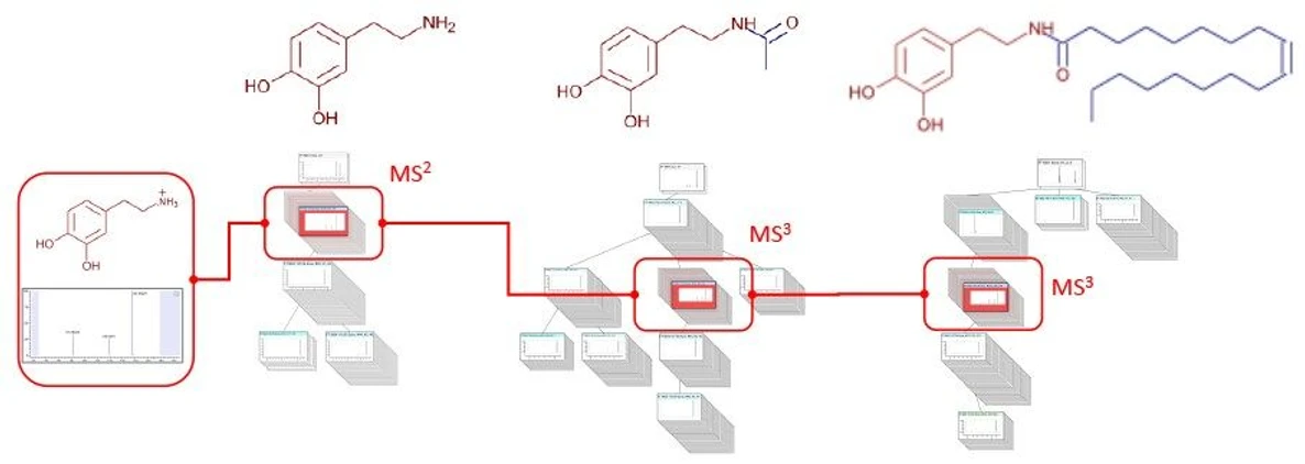 Thermo Scientific mzLogic Data Analysis Algorithm: High quality MS, MS/MS and MSn data can be used to interrogate the fully curated and annotated mass-spectral fragmentation library, mzCloud. Common substructural information can be used from the extensive fragmentation information to aid in unknown compound identification using mzLogic algorithm.