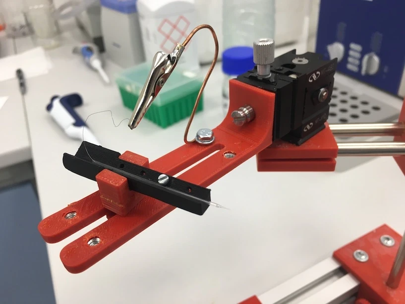 TriLab: BIOCEV - online nanospray