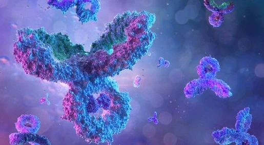 Leveraging light scattering techniques for enhanced biotherapeutic characterization and development