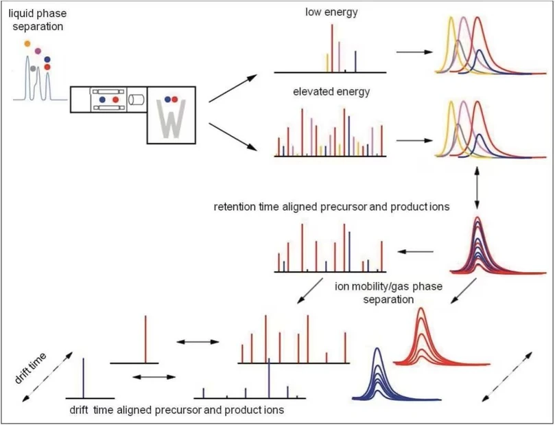 Waters SYNAPT XS High Resolution Mass Spectrometer: Retention and drift time principle ion mobility enabled data-independent LC-HDMSE analysis (LC-DIA-IM-MS).