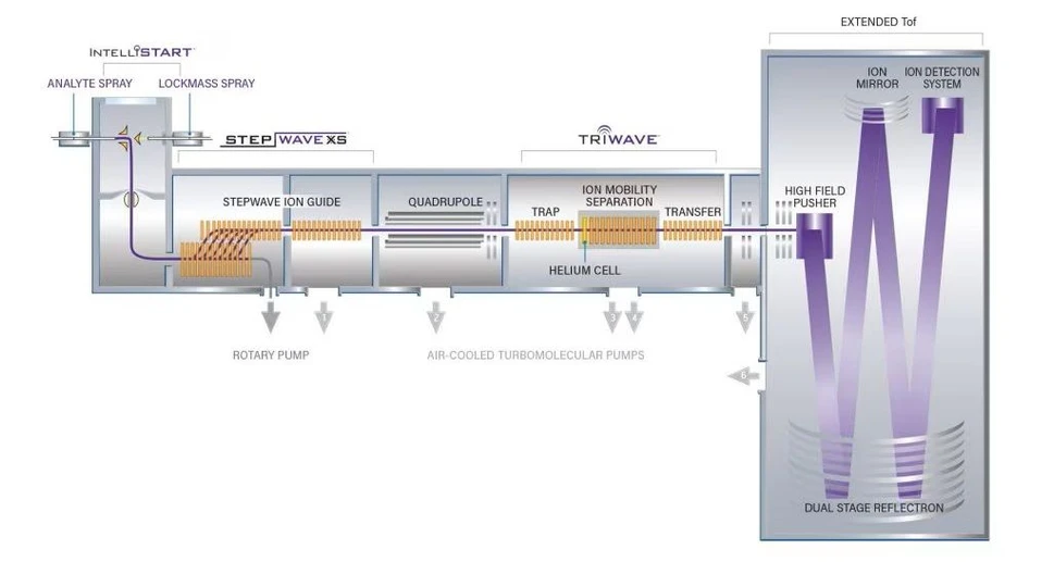 Waters SYNAPT XS High Resolution Mass Spectrometer: SYNAPT XS schematic.