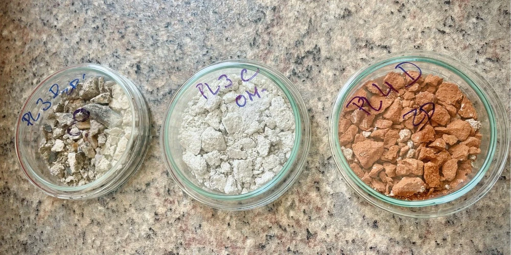 Watrex: Fig. 2 Illustration of a sample during laboratory analysis.