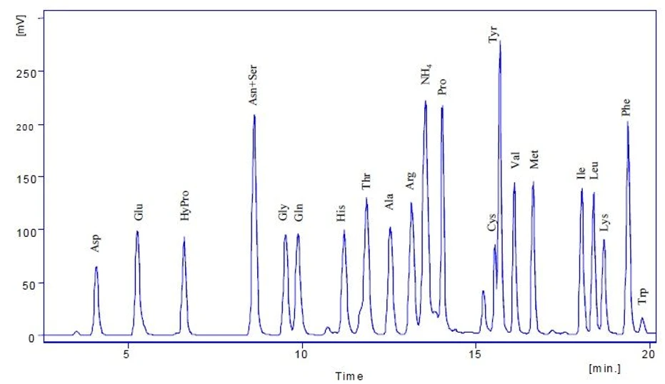 Watrex: HPLC separation of amino acids AQC – AA standard