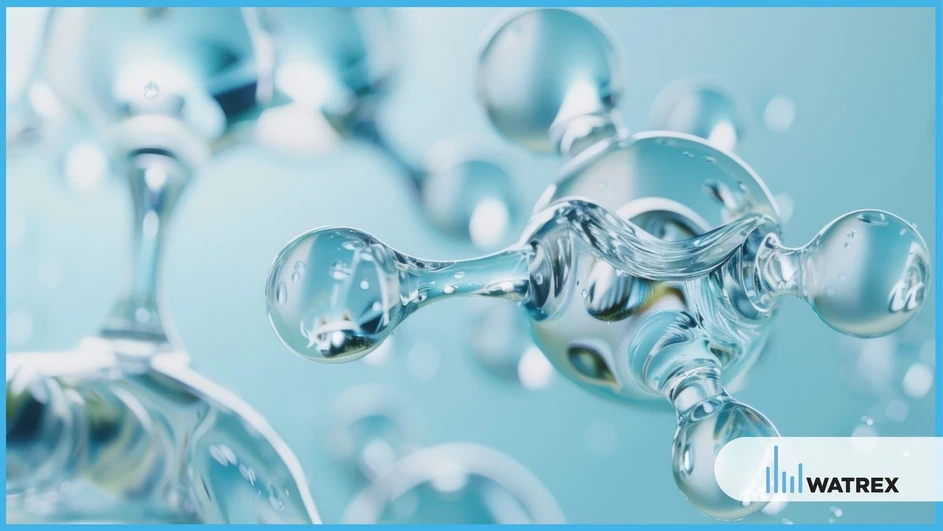 <p>Watrex Praha: 10 Facts About Water You Might Not Know – From a Chemist’s Perspective</p>