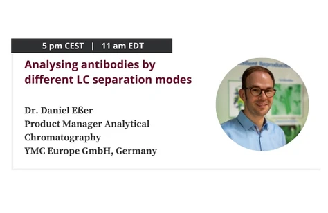 Analysing Antibodies by Different LC Separation Modes