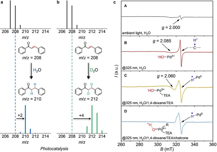 <p><strong>Adv Mater. 2025. doi:10.1002/adma.202504108: </strong>Fig. 4<strong> </strong>Mass spectra of the liquid product from the photocatalytic water-donating selective transfer hydrogenation of chalcone in the presence of Pd-mpg-CN in a) H<sub>2</sub>O and b) D<sub>2</sub>O, respectively. c) CW X-band (9.08 GHz) EPR spectra of Pd-mpg-CN recorded at <i>T</i> = 85 K in A) water under ambient light irradiation, B) water with in situ 325 nm irradiation, C) water/1,4-dioxane/TEA mixture with in situ 325 nm irradiation, and D) water/1,4-dioxane/TEA/chalcone with in situ 325 nm irradiation.</p>