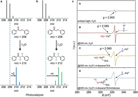 New material enables chemical production using sunlight and water