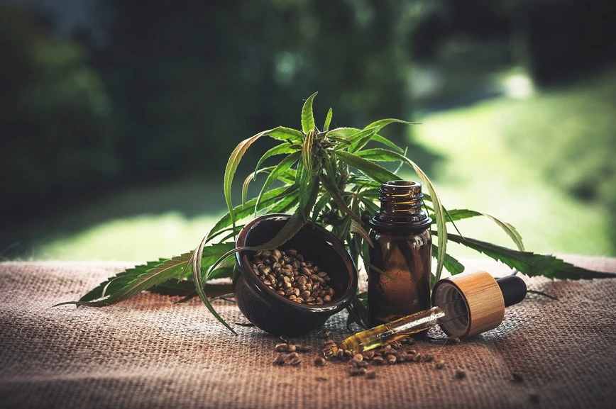 Pixabay/Julia Teichmann: The Science of Cannabis Testing 2021