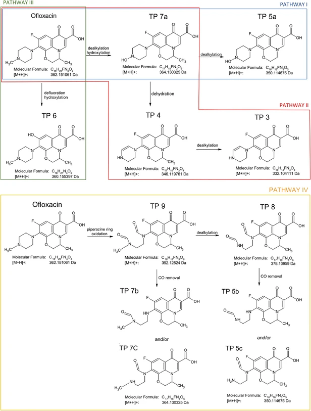 iScience. 2025 Oct 30;28(12):113899: Scheme 1 Proposed transformation pathways for the photocatalytic degradation of ofloxacin