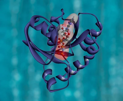 Robust, Reproducible, and Quantitative Analysis of Thousands of Proteomes by Micro-flow LC-MS/MS